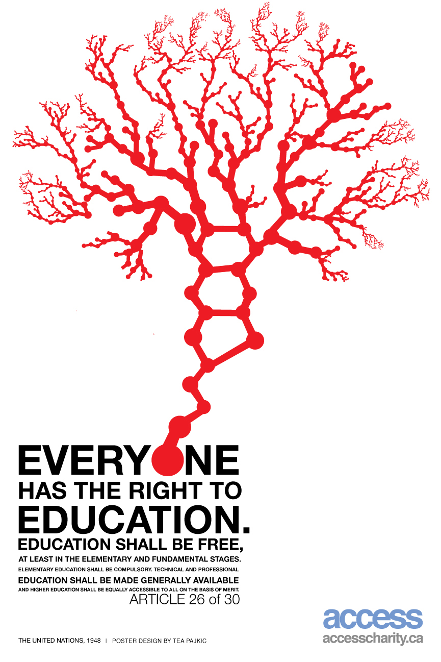 everyone-has-the-right-to-education-poster-access.jpg